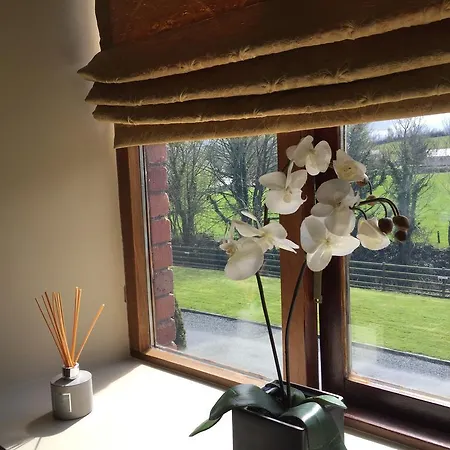 Riverbank, Country Pub And Carrickmacross